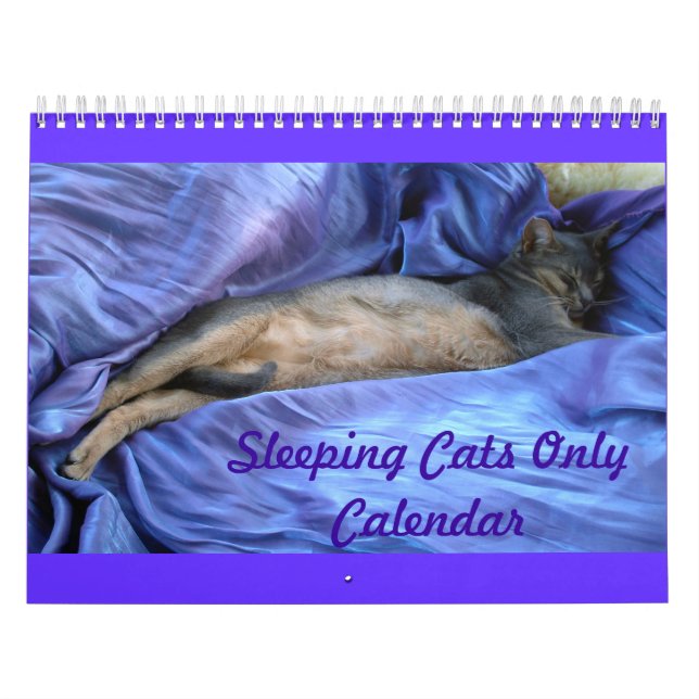 Mural Calendrier de chats (Protection)