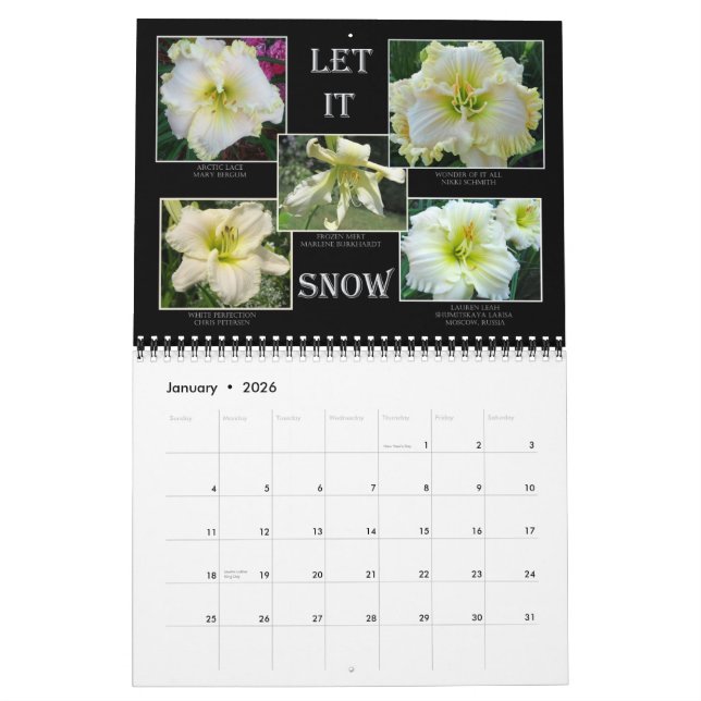 Mural Calendrier de Daylily de 2014 AHS (Jan 2026)