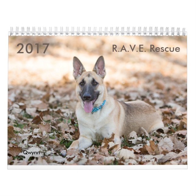 Mural Calendrier de délivrance de 2017 R.A.V.E. (Protection)