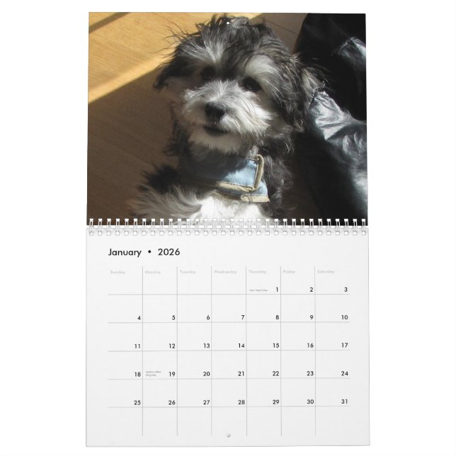 Mural Calendrier de délivrance de Havanese (Jan 2026)