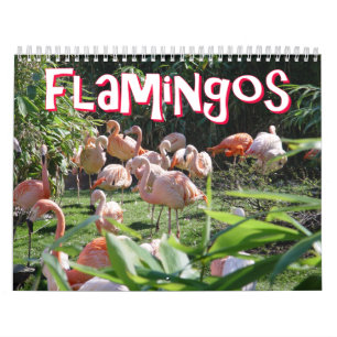 Mural Calendrier de Flamants roses