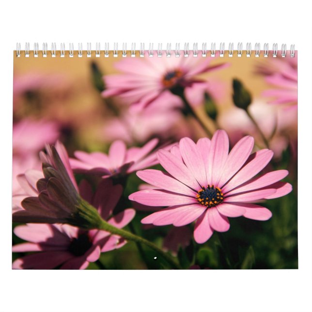 Mural Calendrier de fleurs (Protection)