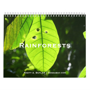 Mural Calendrier de forêts tropicales