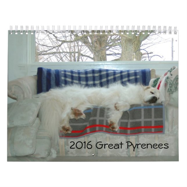 Mural Calendrier de Grands Pyrénées (Protection)