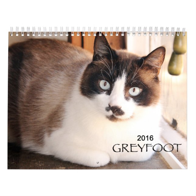 Mural Calendrier de la délivrance 2016 de chat de (Protection)