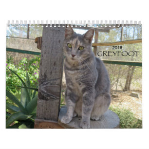 Mural Calendrier de la délivrance 2018 de chat de