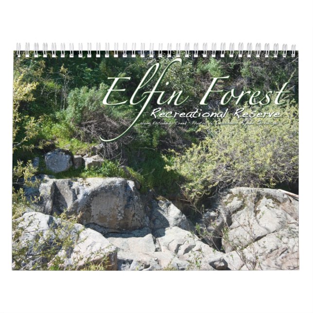 Mural Calendrier de la forêt Elfin (Protection)