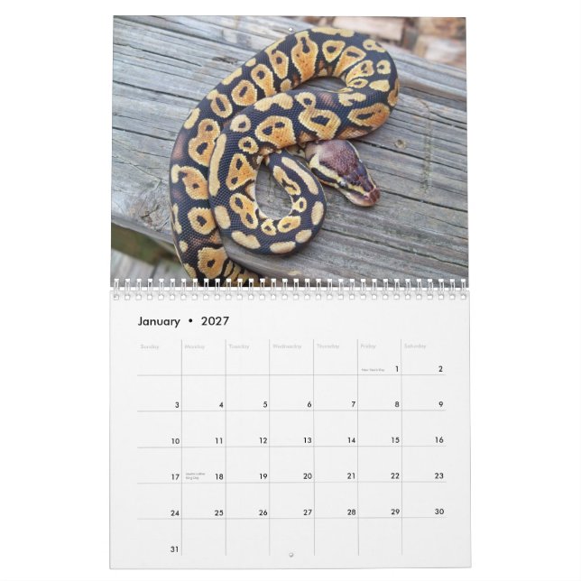 Mural Calendrier de MightyMorphs (Jan 2027)