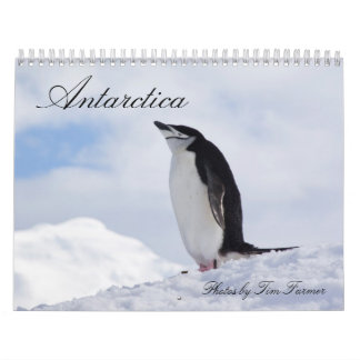 Mural Calendrier de pingouins de l'Antarctique