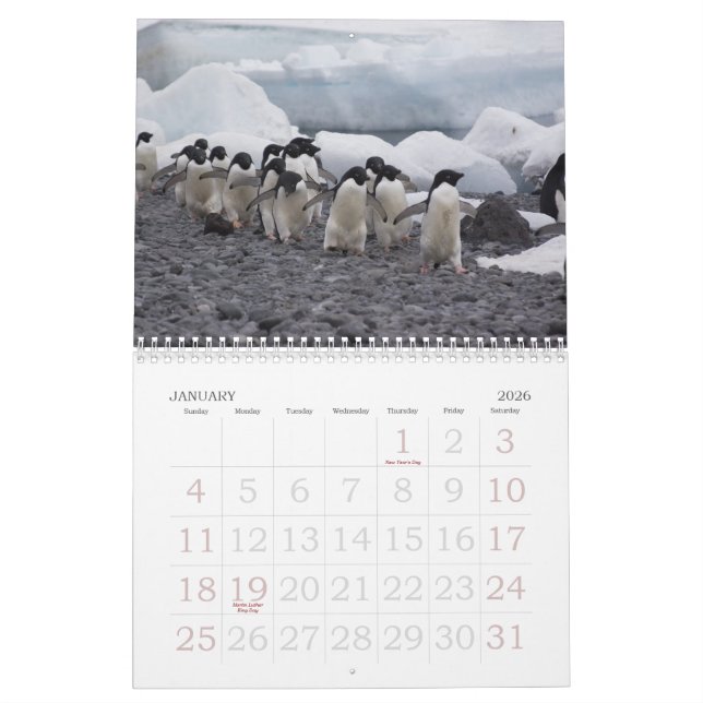 Mural Calendrier de pingouins de l'Antarctique (Jan 2026)