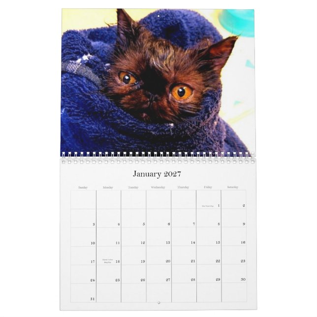 Mural Calendrier de race de délivrance de race de chat (Jan 2027)