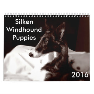 Mural calendrier de soie de 4 2016 chiots de Windhound