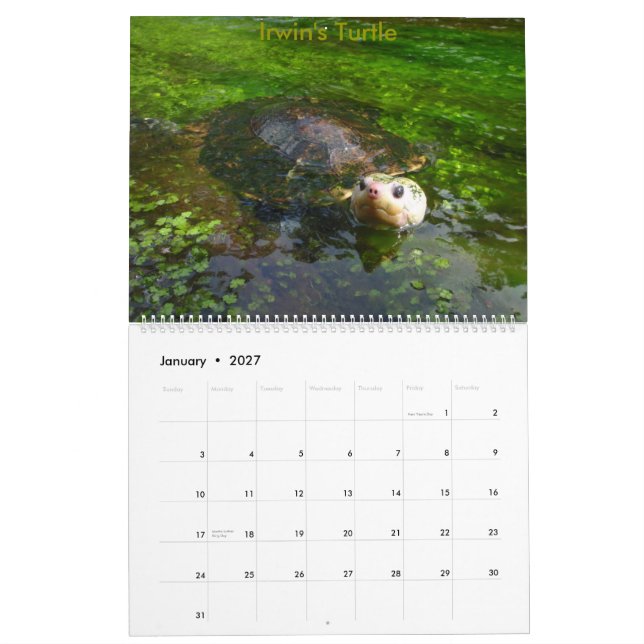 Mural Calendrier d'eau douce australien de tortue de 8 (Jan 2027)