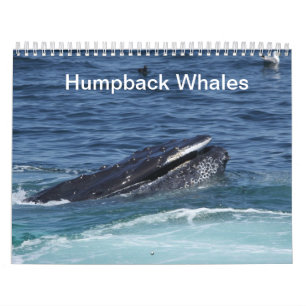 Mural Calendrier des baleines à bosse 2014