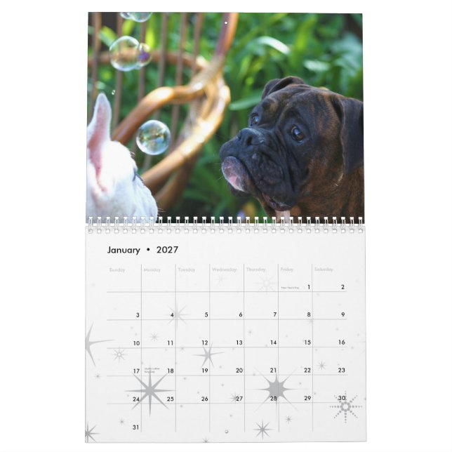 Mural Calendrier des boxeurs 2012 (Jan 2027)