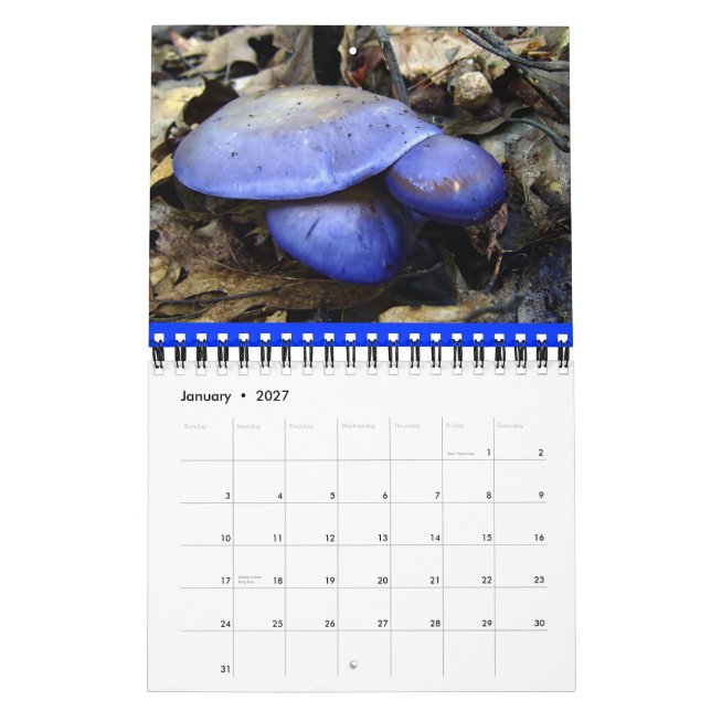 Mural Calendrier des champignons Rainbow 2012 (Jan 2027)
