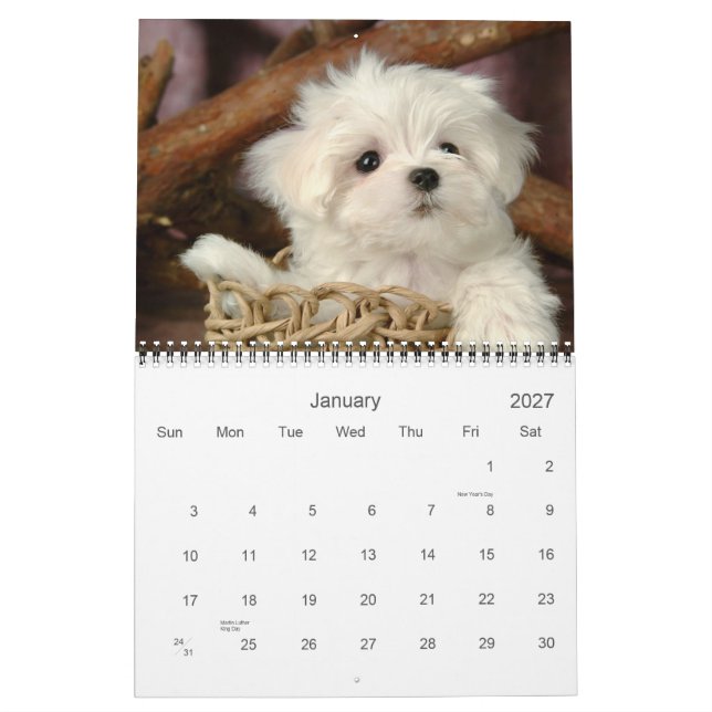 Mural Calendrier des chiots (Jan 2027)