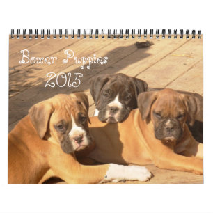 Mural Calendrier des chiots 2015 de boxeur