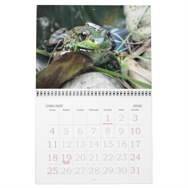 Mural Calendrier des grenouilles 2015 (Jan 2026)
