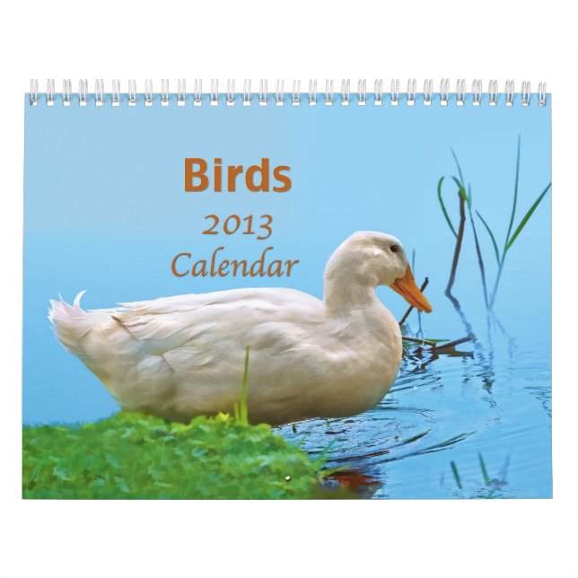 Mural Calendrier des oiseaux 2013 (Protection)