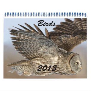 Mural Calendrier des oiseaux 2013