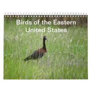 Mural Calendrier des oiseaux de l'Est des États-Unis