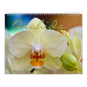Mural Calendrier des orchidées 2011