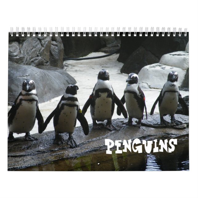 Mural Calendrier des pingouins (Protection)