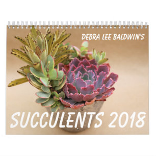 Mural Calendrier des Succulents 2018 par Debra Lee