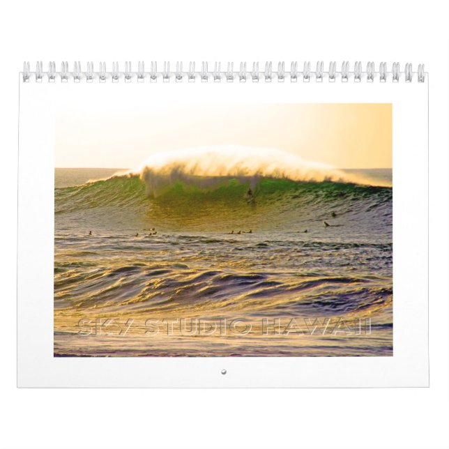 Mural Calendrier des Surfs géants (Protection)