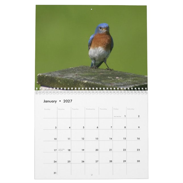 Mural calendrier d'oiseau bleu (Jan 2027)