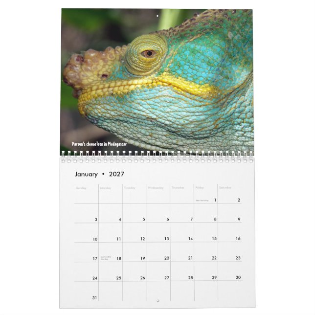 Mural Calendrier doux de lézards (Jan 2027)