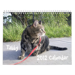 Mural Calendrier du chat tigré 2012