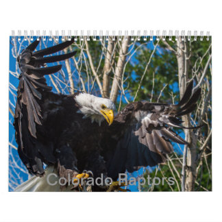 Mural Calendrier du Colorado Raptor