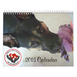 Mural Calendrier du match 2013 de Pawfect