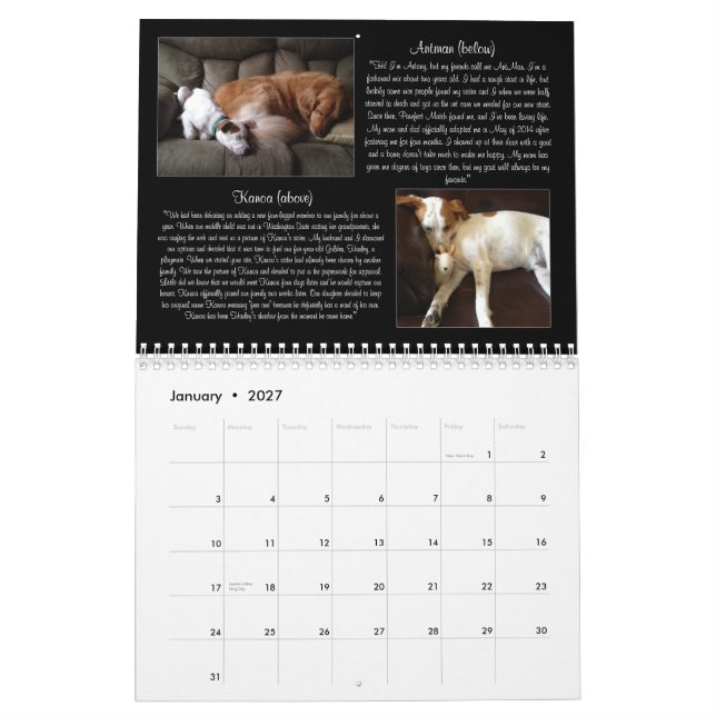 Mural Calendrier du match 2015 de Pawfect (Jan 2027)