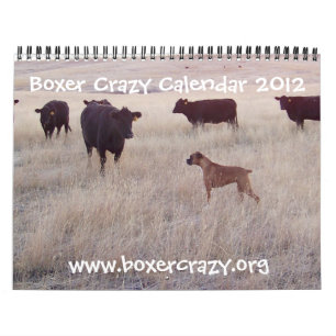 Mural Calendrier fou 2012 de boxeur