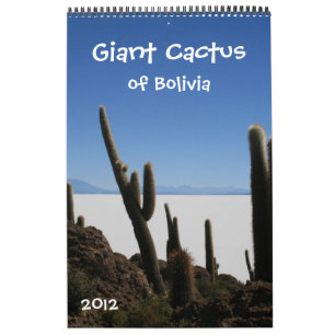 Mural calendrier géant 2012 de cactus