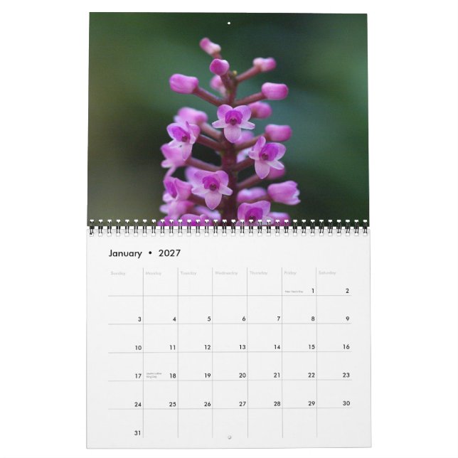 Mural Calendrier guatémaltèque d'orchidées (Jan 2027)