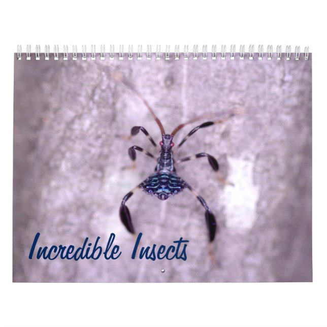 Mural Calendrier incroyable d'insectes (Protection)