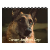 Calendrier magnifique de chien de berger allemand