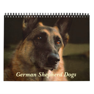 Mural Calendrier magnifique de chien de berger allemand