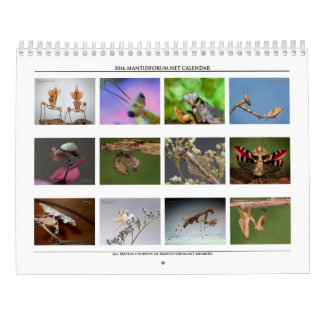 Mural Calendrier Mantidforum haute résolution 2016