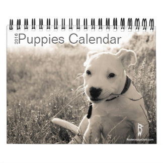 Mural Calendrier mignon 2016 de chiots