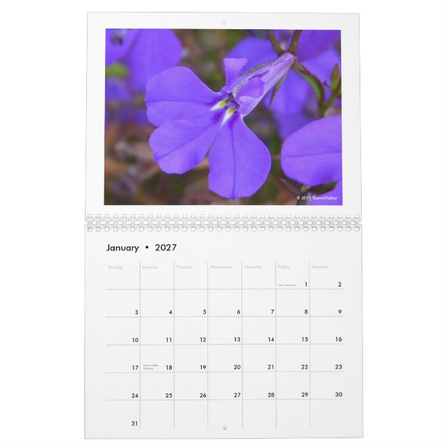 Mural Calendrier : Nature sensible (Jan 2027)