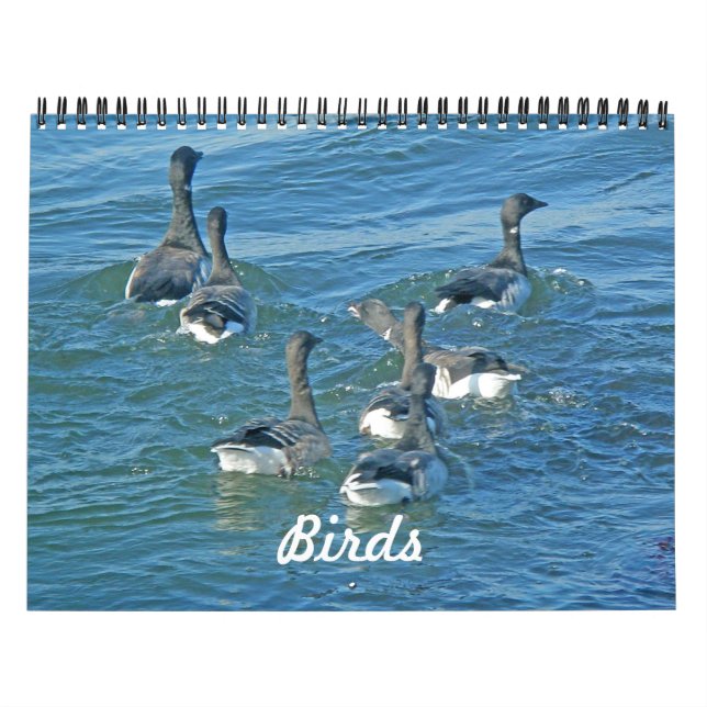 Mural Calendrier Oiseaux (Protection)