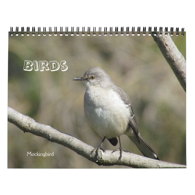 Mural Calendrier - Oiseaux (grandes dates) (Protection)