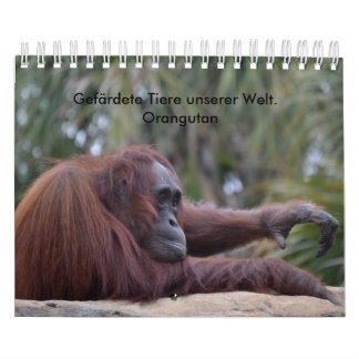 Mural Calendrier orangutan