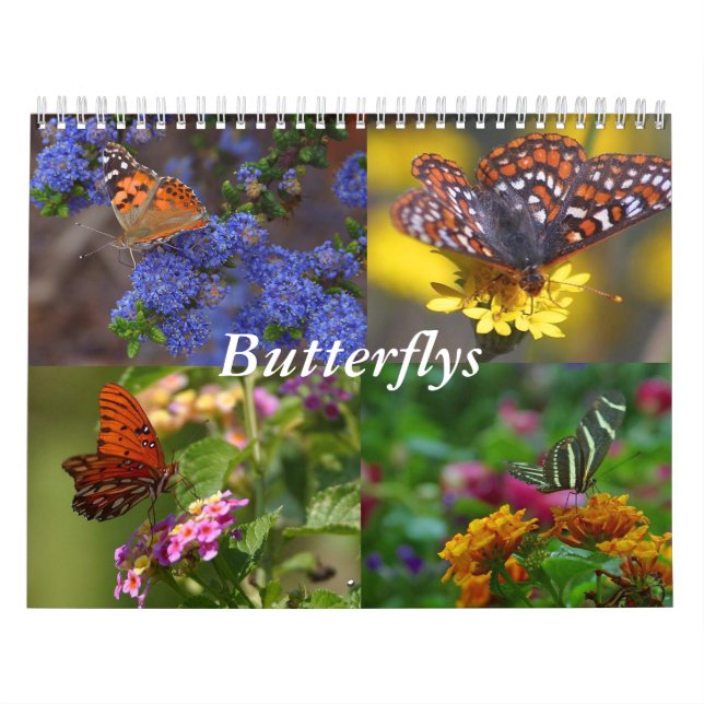 Mural Calendrier papillon (Protection)