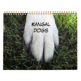 Mural Calendrier personnalisé imprimé